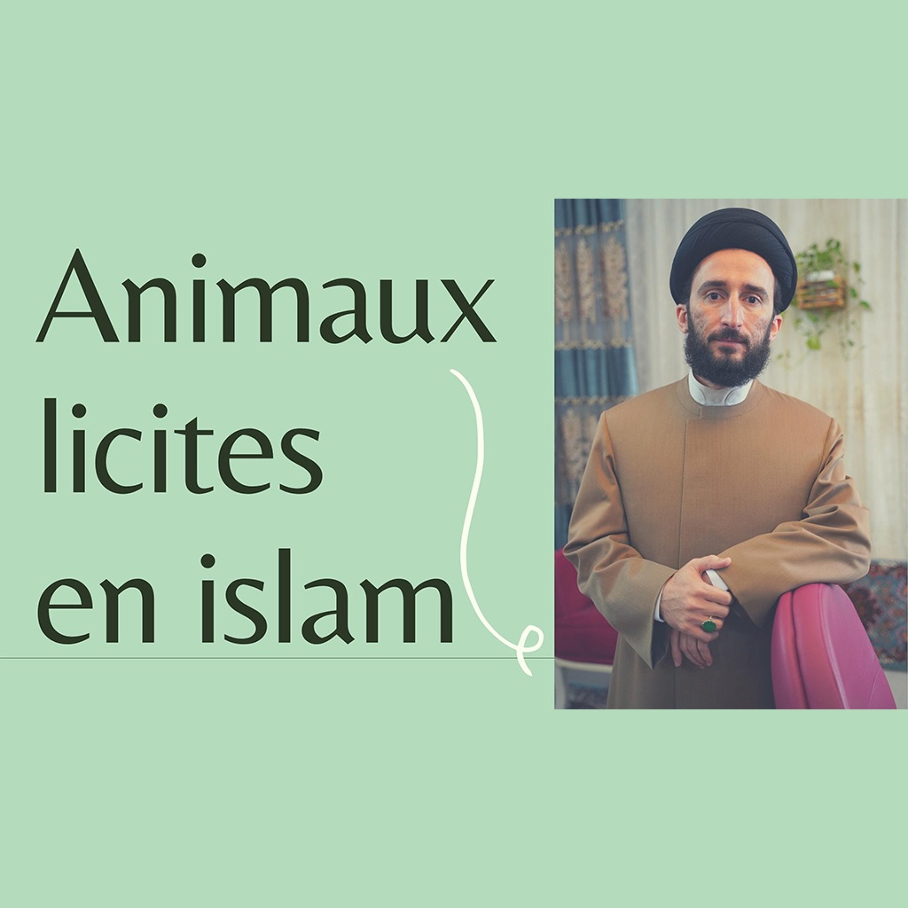 Les Viandes Halal et Haram en Islam + Liste complète episode artwork