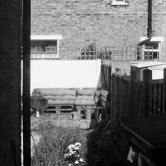 Songs from a warm kitchen - Week 1