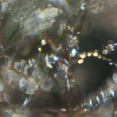 POOLHOUSE FT.ASTRAL TRAP