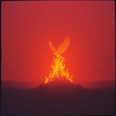 Rise Again