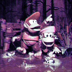 Donkey Kong Country 2 - Bayou Boogie (Synthwave Remix)