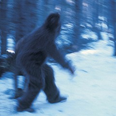 Bigfoot Electro Stream Set