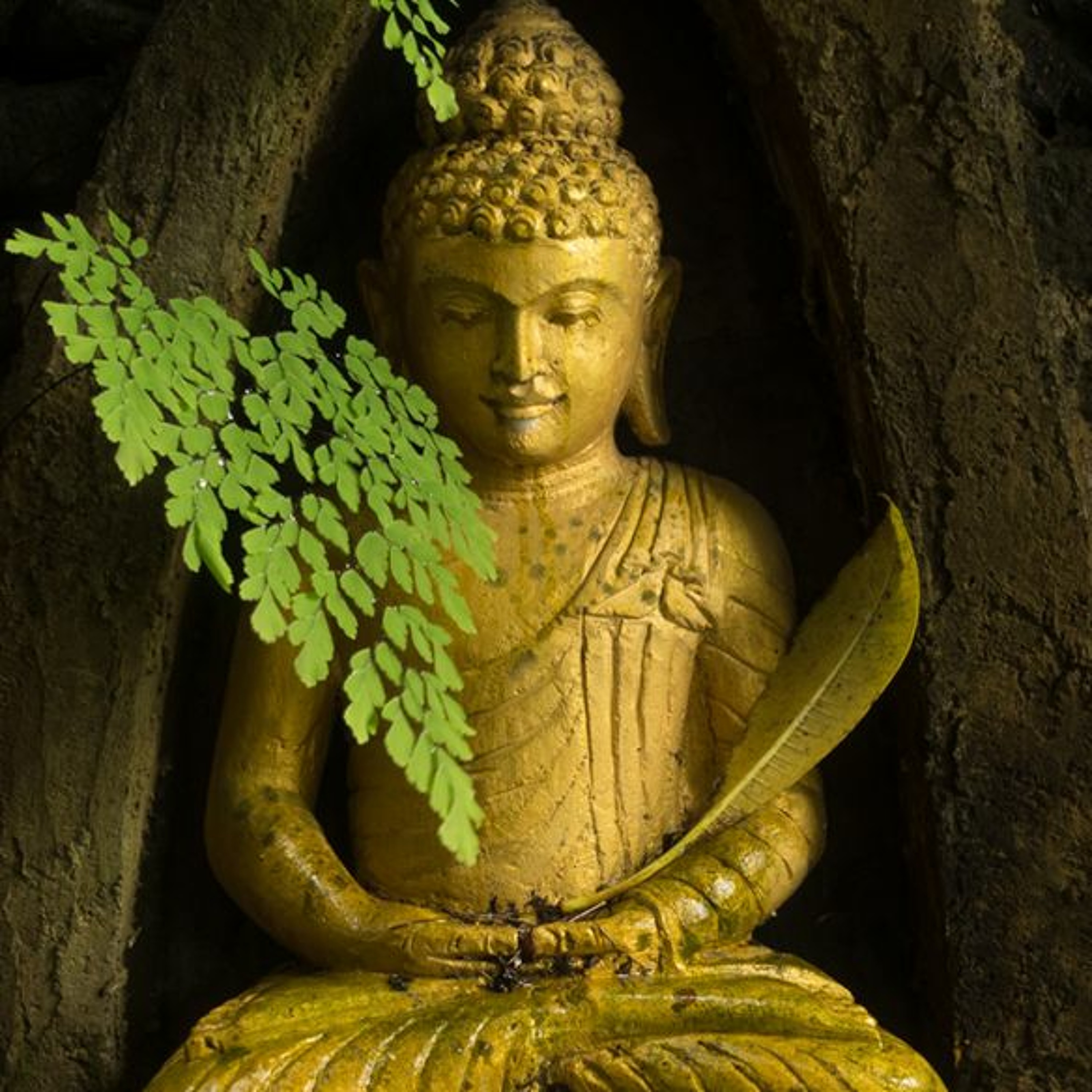 Bhudda's enlightenment - Ross Bolleter Roshi (8 Dec 2022) episode artwork
