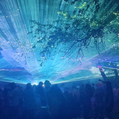 Canyon Vibration 2022 Artists