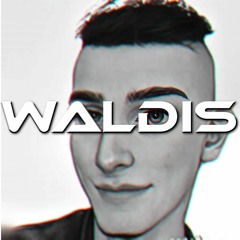 Waldis & Sarusia55 & Sound Bass - W Stegnie Na Plaży (4FUN Mix)
