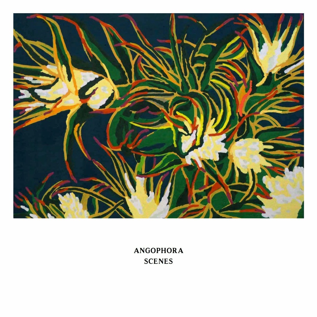 Listen to Angophora - Float By by Ken Oath Records in Angophora