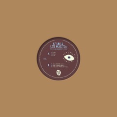 DJ ROU & LITE ORKESTRA - AMBASSADOR'S WAY [CR002] Cognitiva Records