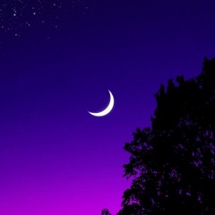 Are All Girls Thesame