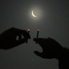 A Joint In The Moonlight