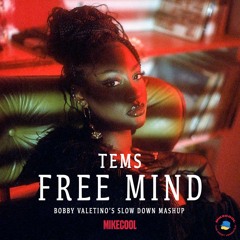 Tems x Bobby Valentino - Free Mind Slow Down (MIKECOOL EDIT)