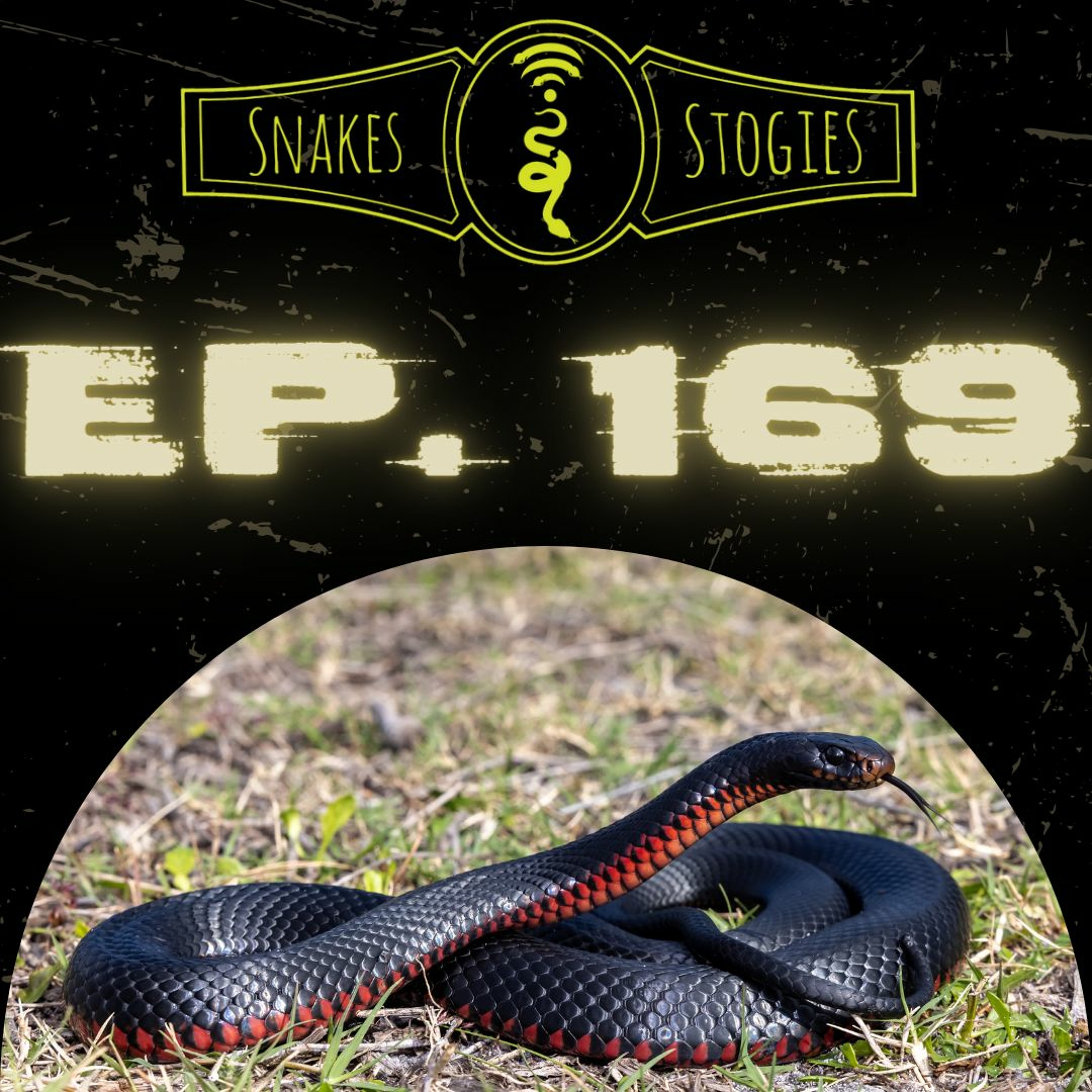 Michael Gillon #2 | Snakes & Stogies Ep. 169