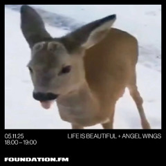 life is beautiful + angel wings - 05.11.2025 - foundation.fm