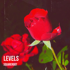 LEVELS