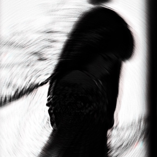 lildeadroses222-Ustillinmydreams :(