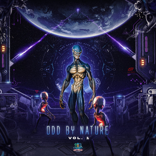 Upsydown -Ninja Knickers