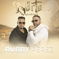Homenaje a Rubby Perez (Tipico)