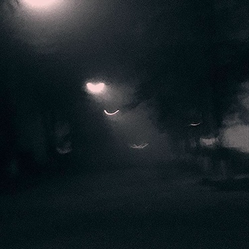 For Real (Prod. Clvr)