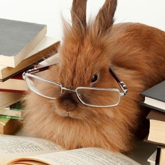 IDOL 2 ft. fafabian, brokeboirubio