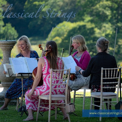 String Quartet - 'One Summer's Day' from Spirited Away
