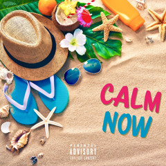 CALM NOW (Calm Down Remix) prod. Littlefingers