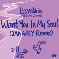 Lovebirds - Want You In My Soul ft. Stee Downes (JANAKEY Remix)