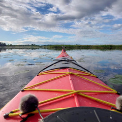 Best of 2025 wetland and lake
