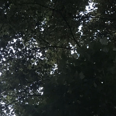 애정결핍증