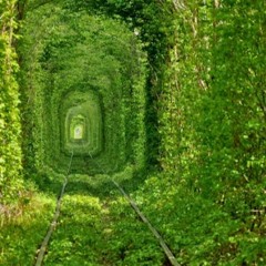 Sense of L1fe - Deep In The Creep [Work In Progress]