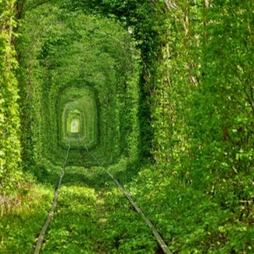 Sense of L1fe - Deep In The Creep [Work In Progress]