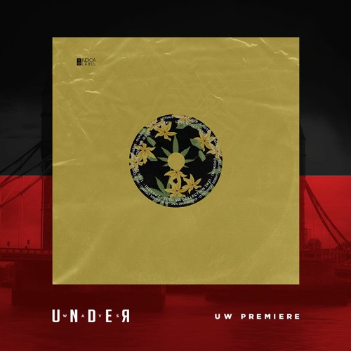 PREMIERE: Tarter - Universe (Original Mix) [Indica Records]