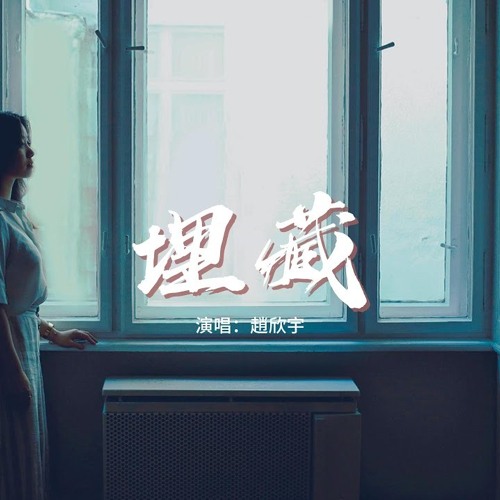 Chôn giấu (埋藏) 2024  - BOTHLAZER REMIX - FULL 2024