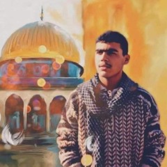 يا طائر ايلول المهاجر - خاطرة