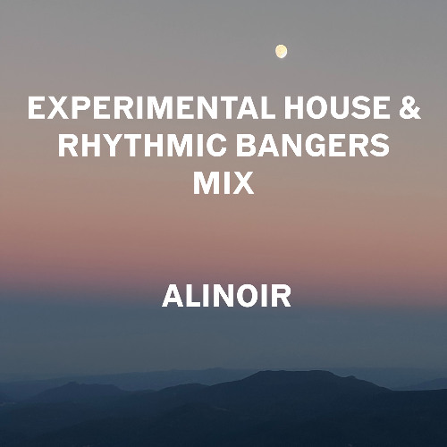 Experimental House & Rhythmic Bangers: Mixed by Ali