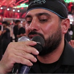 شكرآ يا حسين عدنا زائرين | الشيخ علي مدلج