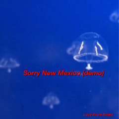 Sorry new mexico demo