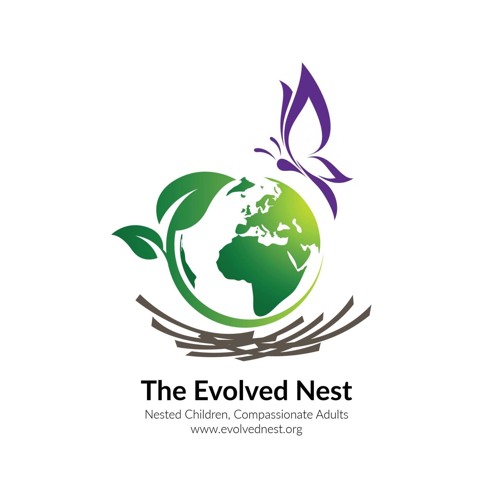 Evolved Nest Explained: Soothing Perinatal Experience
