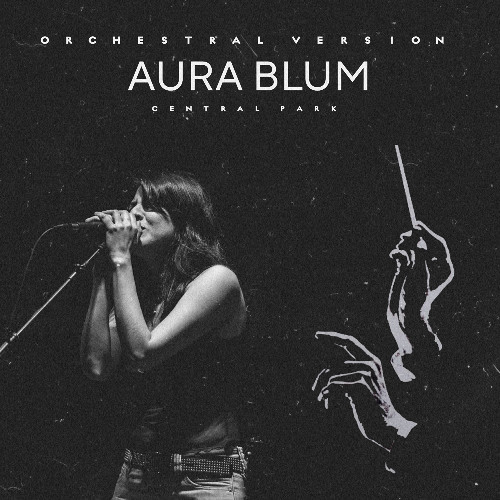 Central Park (Orchestral Version By Ronyan)