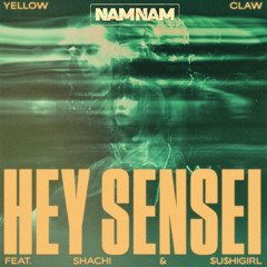 HEY SENSEI - NAMNAM