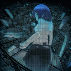 Where Have You Gone