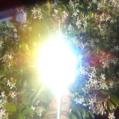 the etherium's encounter