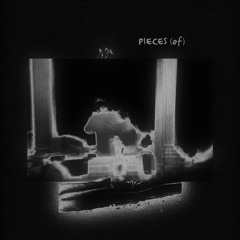 pieces (of)