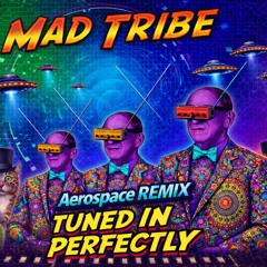 Mad Tribe - Tuned in Perfectly (Aerospace Remix)