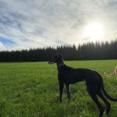 Mc Pat Flynn - Wasn’t Enough  SKIP TO ONE MINUTE