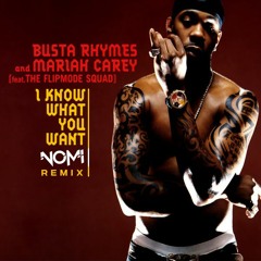 Busta Rhymes, Mariah Carey, Flipmode Squad - I Know What You Want (Nomi Remix) [FREE EXTENDED]