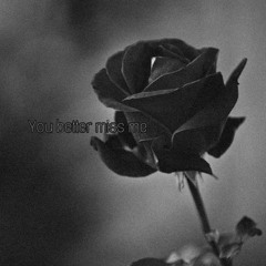 •• you better miss me •• (cover)