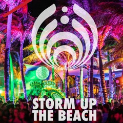 STORM UP THE BEACH (Road to Deja Voom)-- CRYING ON MY COUCH MIX