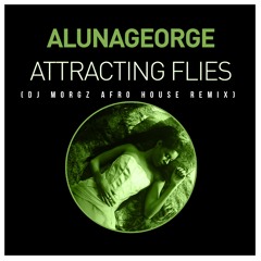 Attracting Flies (DJ Morgz Afro House Remix) - AlunaGeorge [Download]