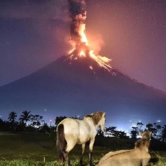 LOVE AND FLOWERS LES IMPRIMES