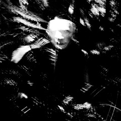 Artoffact Records - 2