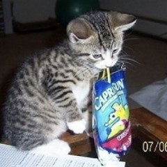 im love music (┬┬﹏┬┬) #diary